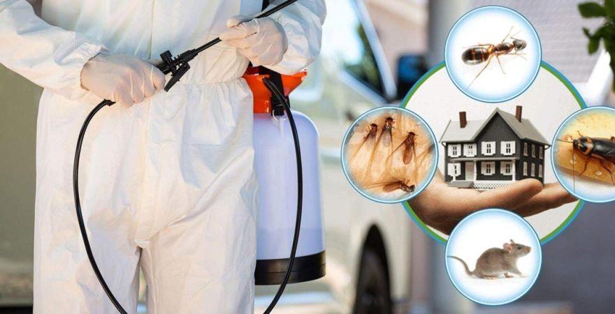 Çeltik Böcek İlaçlama