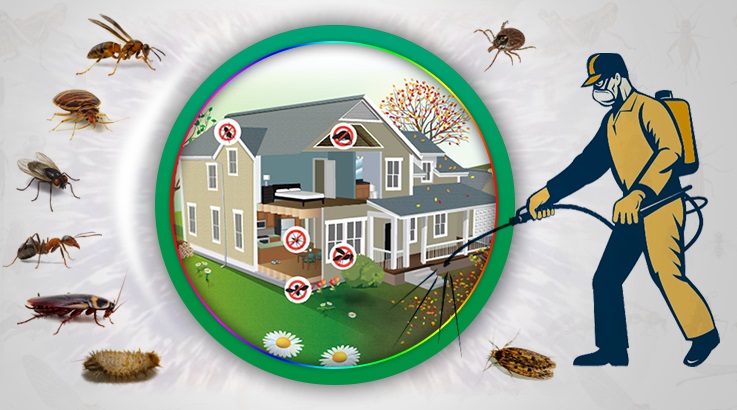 Çeltik Böcek İlaçlama