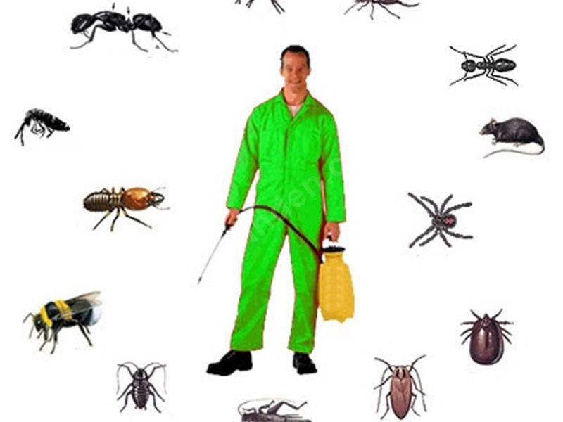 Çeltik Böcek İlaçlama